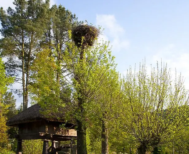 Casa Bouza Becerreá
